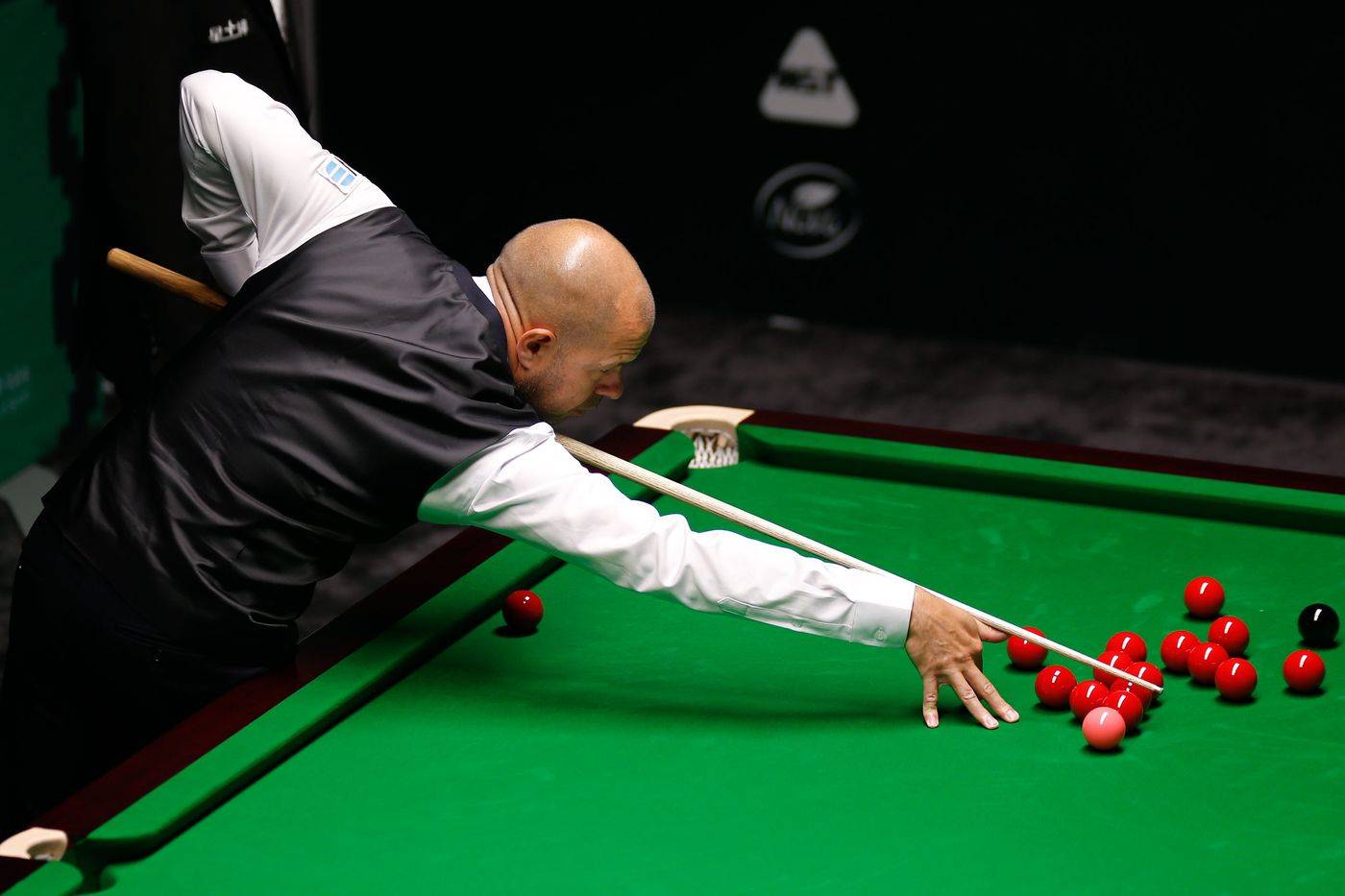 择了李安的 择了李安的