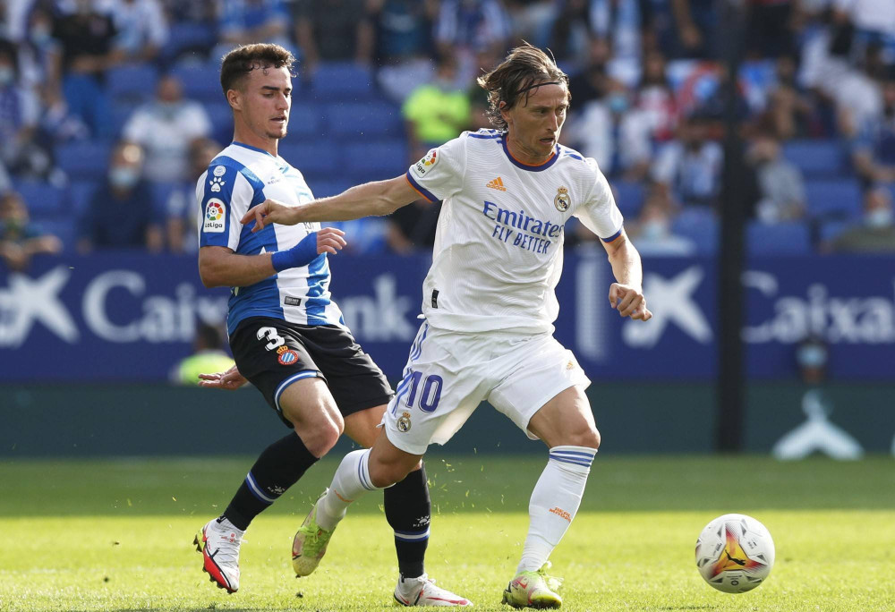 兼顾观赏与 兼顾观赏与