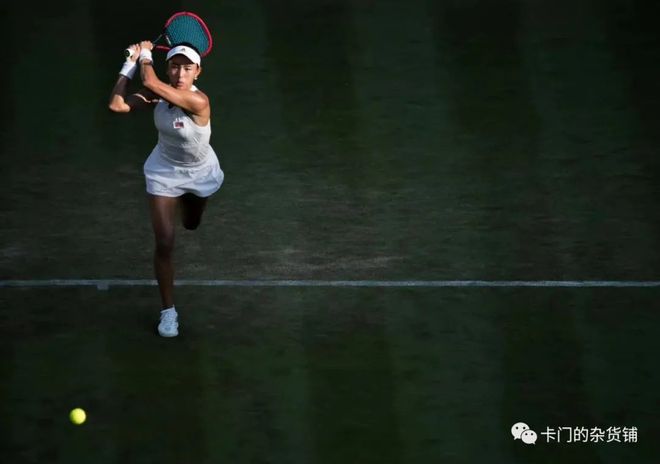 的画质预设 的画质预设